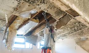 Best Mold Odor Removal Services  in Grantley, PA